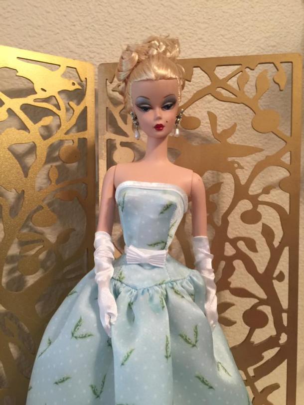 18699981_424678857899208_5698180715171780052_n